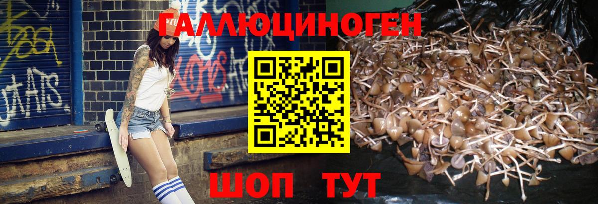 Галлюциногенные грибы MAGIC MUSHROOMS  Вход с VPN  Северобайкальск 